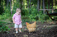 Boy with chicken