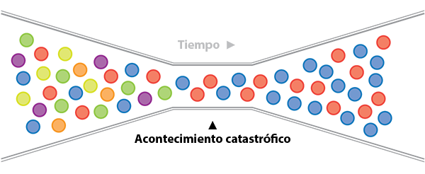 Ilustración del cuello de botella de una población