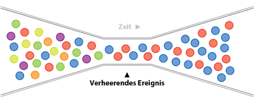 Darstellung des genetischen Flaschenhalses