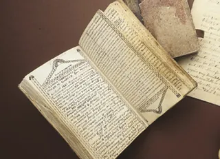 Wilford Woodruff’s journal