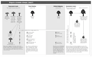 przypowieść o drzewie oliwnym
