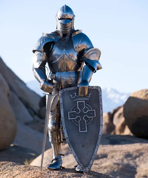 a man dressed in full armor with a shield and sword