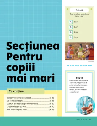 Povestire în format PDF.