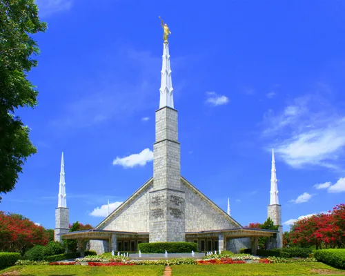 The Dallas Texas Temple on a sunny day, with the flowers in full bloom and a large green tree to the left side.