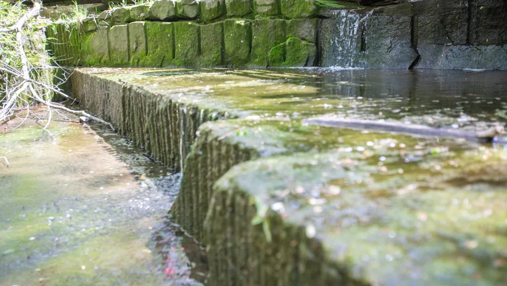 Early members of The Church of Jesus Christ of Latter-day Saints obtained stone for the Kirtland Temple from the Stannard Quarry. Marks from their work are still visible today. Photo taken May 2022.