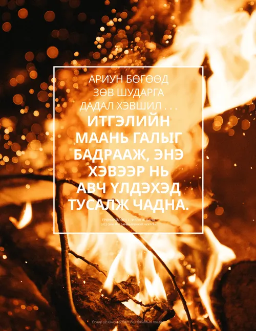 Ерөнхийлөгч Ландын үгийг эш татсан зурагт хуудас