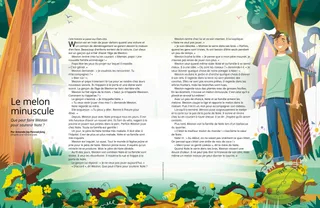 Histoire au format PDF