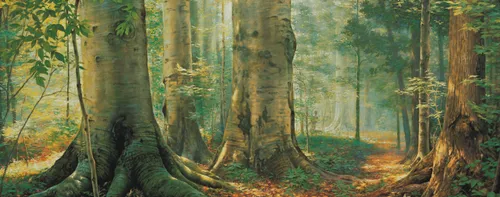 Joseph Smith, Jr. kneeling in the Sacred Grove as he prays. The Prophet is seen in the background with large trees around him. The image depicts the First Vision.