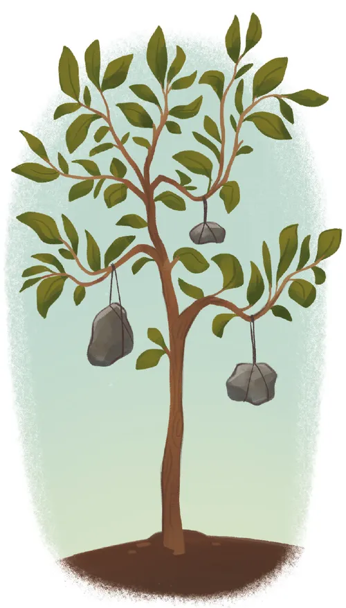 tree with rocks tied to it