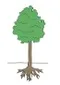 Tree Small