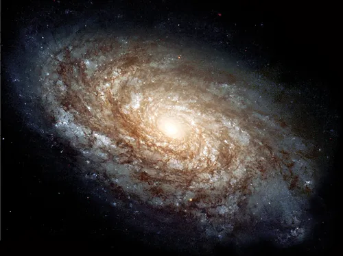 Spiral Galaxy