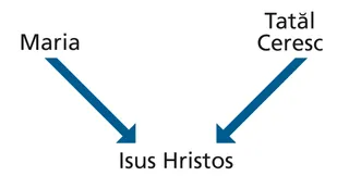 diagramă cu descendența lui Isus Hristos