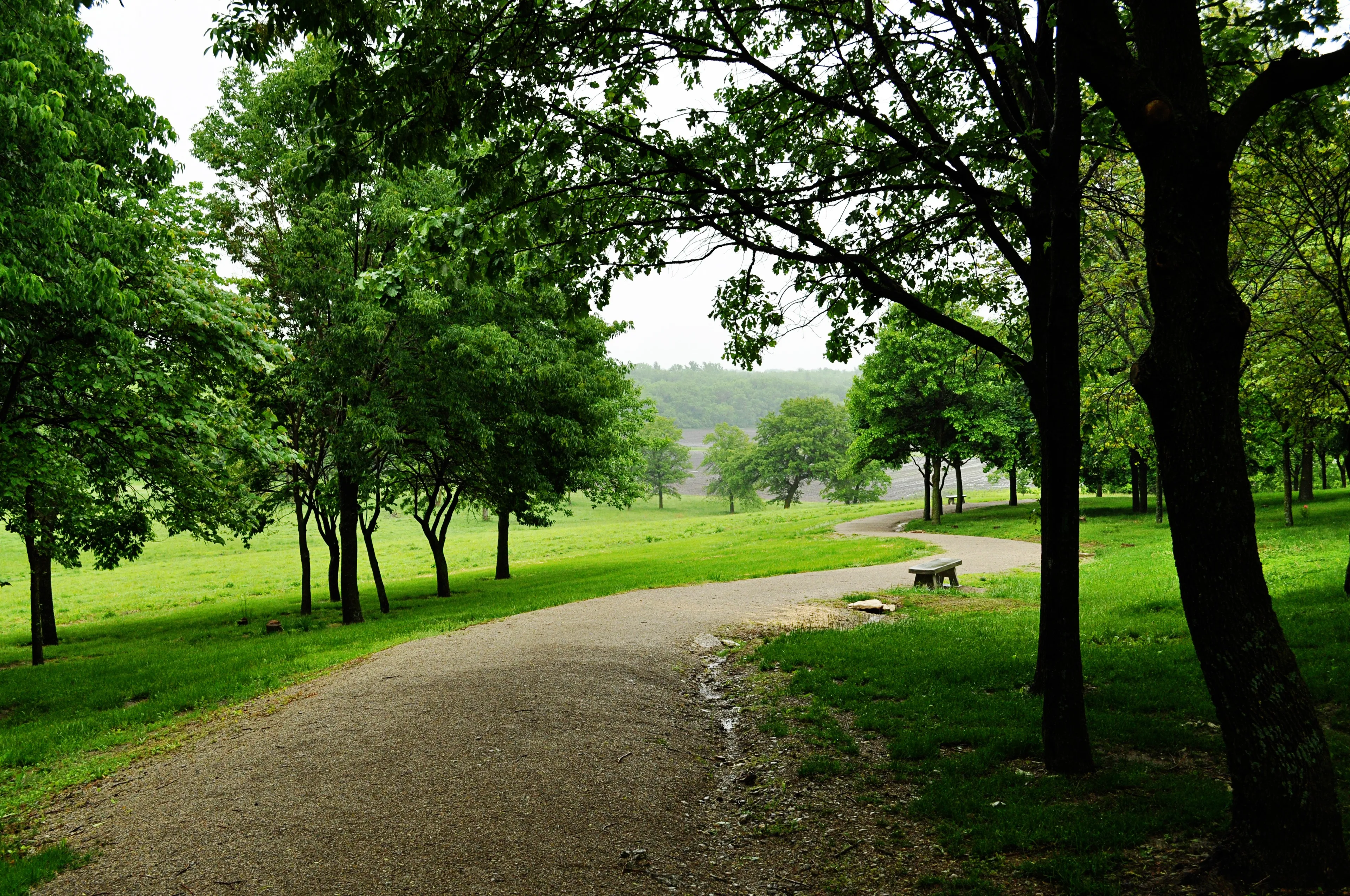 A picture of a trail running through Adam-ondi-Ahman.