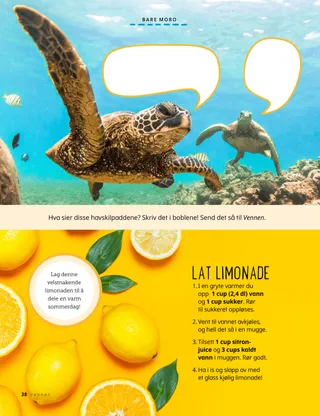 Foto av skilpadder og foto av sitroner