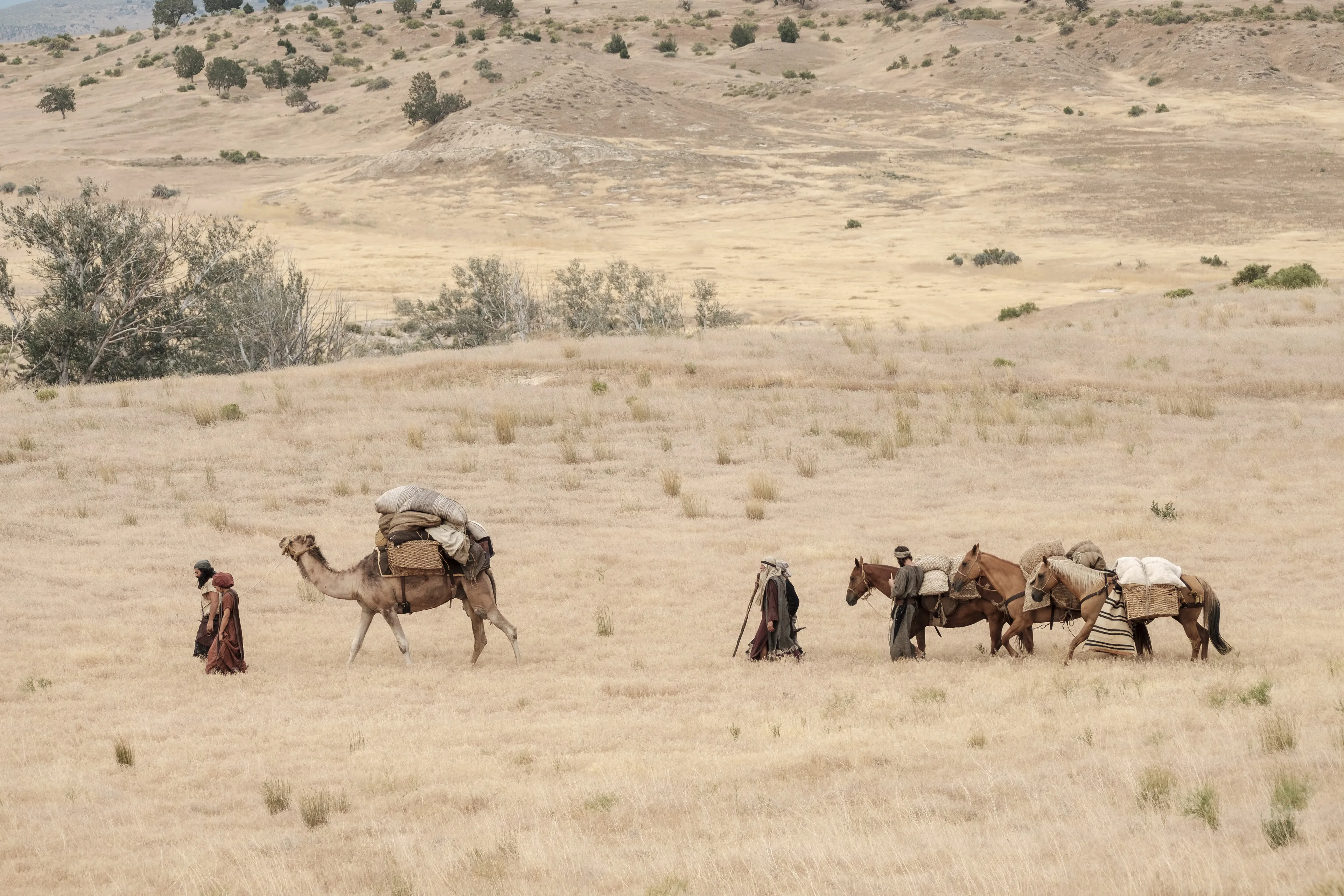 Nephi and Ishmael's family travel in the wilderness.