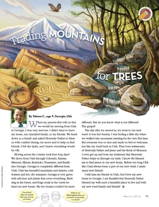 Trading Mountains for Trees