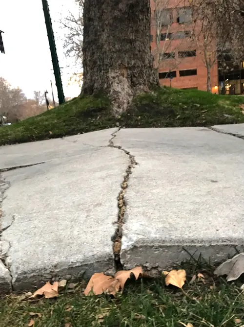 Crack in sidewalk