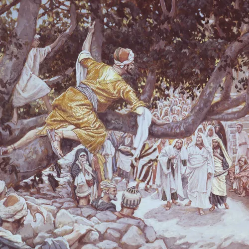Zacchaeus in tree