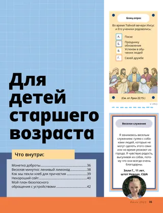 История в формате PDF
