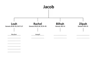 chart of Jacob’s wives and children