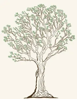 træ med arret stamme