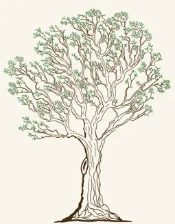 〔幹に傷のある木の画像〕