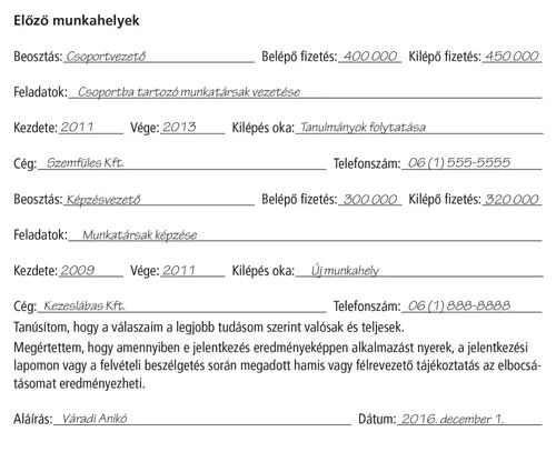 application example page 2