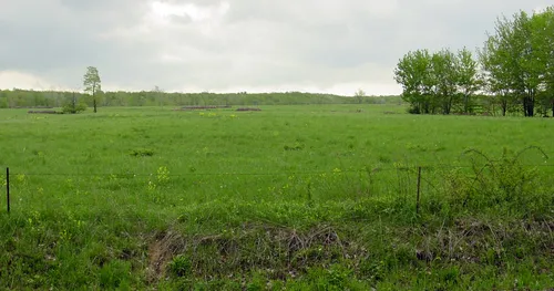 Lush green field with trees in the distance