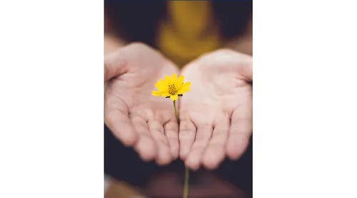 A woman's hands are shown holding a flower.
