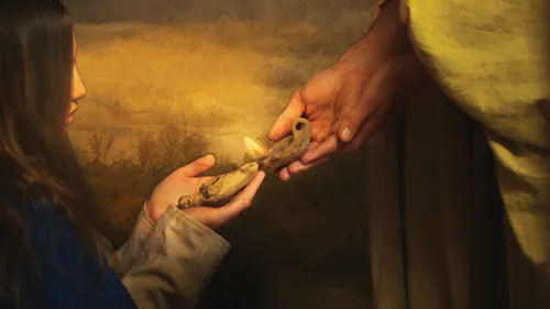 A Gift of Light, by Eva Koleva Timothy