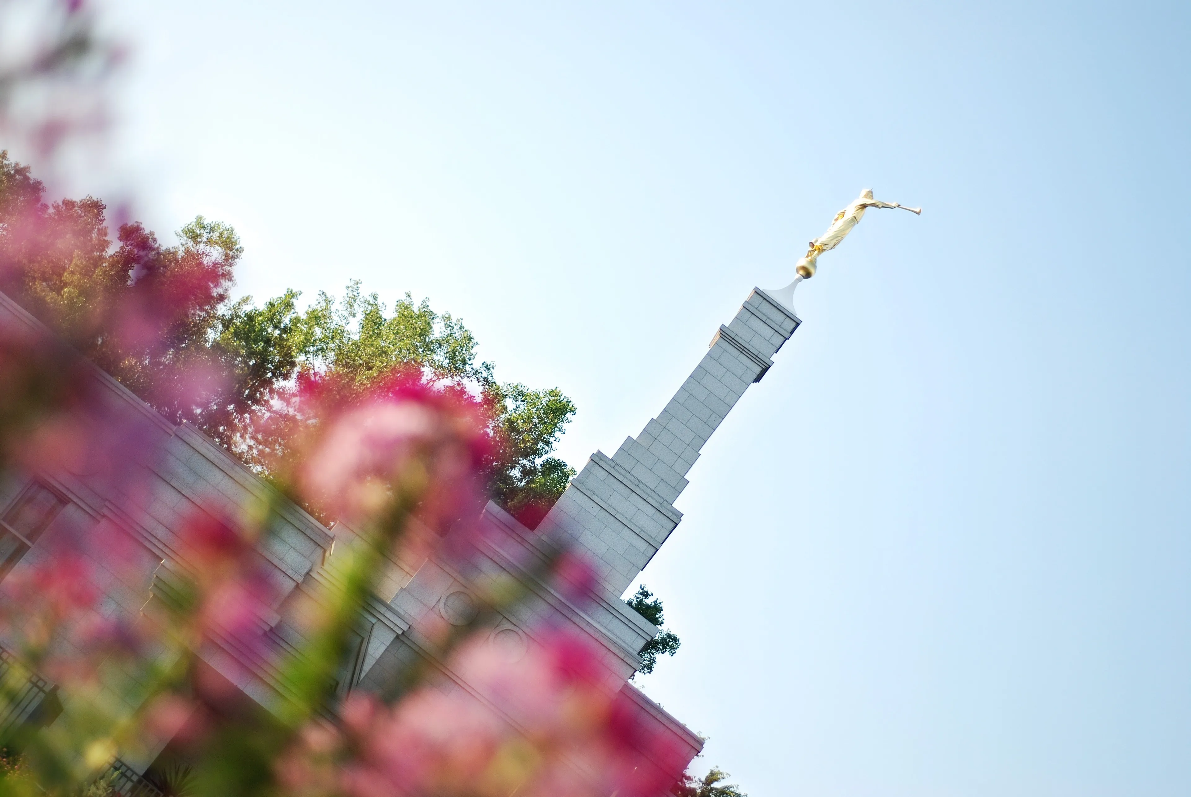 The St. Paul Minnesota Temple spire, including scenery.