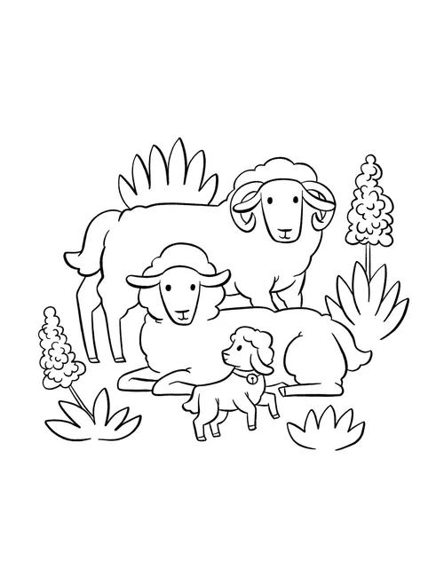 Coloring page of sheep