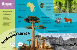 Oldal PDF-változata Afrika kis méretű térképével, valamint képekkel, amelyeken majomkenyérfák, sziklaképződmények, vanílianövények, egy maki és egy zebu látható