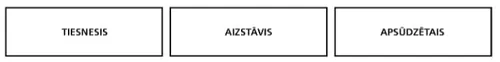 tiesnesis, aizstāvis, apsūdzētais