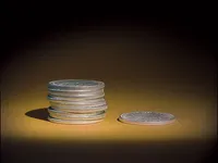 九枚硬幣與一枚硬幣