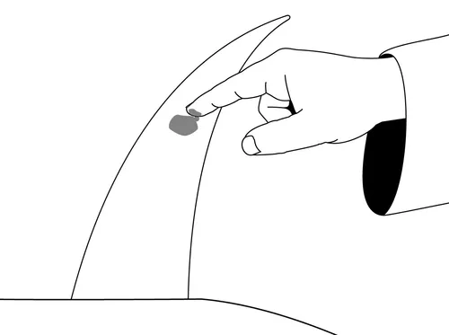 drawing of finger putting blood on horn