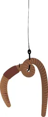fishing hook, worm