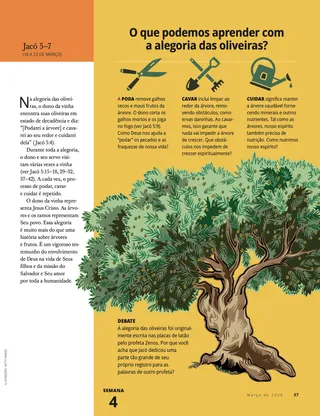 What Can We Learn from the Allegory of the Olive Tree