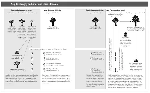 allegory of the olive tree