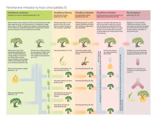 Tabilaon’ny fanoharana mikasika ny hazo oliva