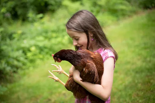 Family with cjhickens.