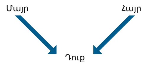գծապատկեր, ծնողներ, դուք