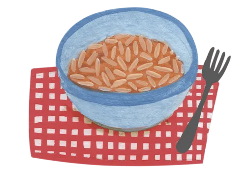 A bowl of rice and stew