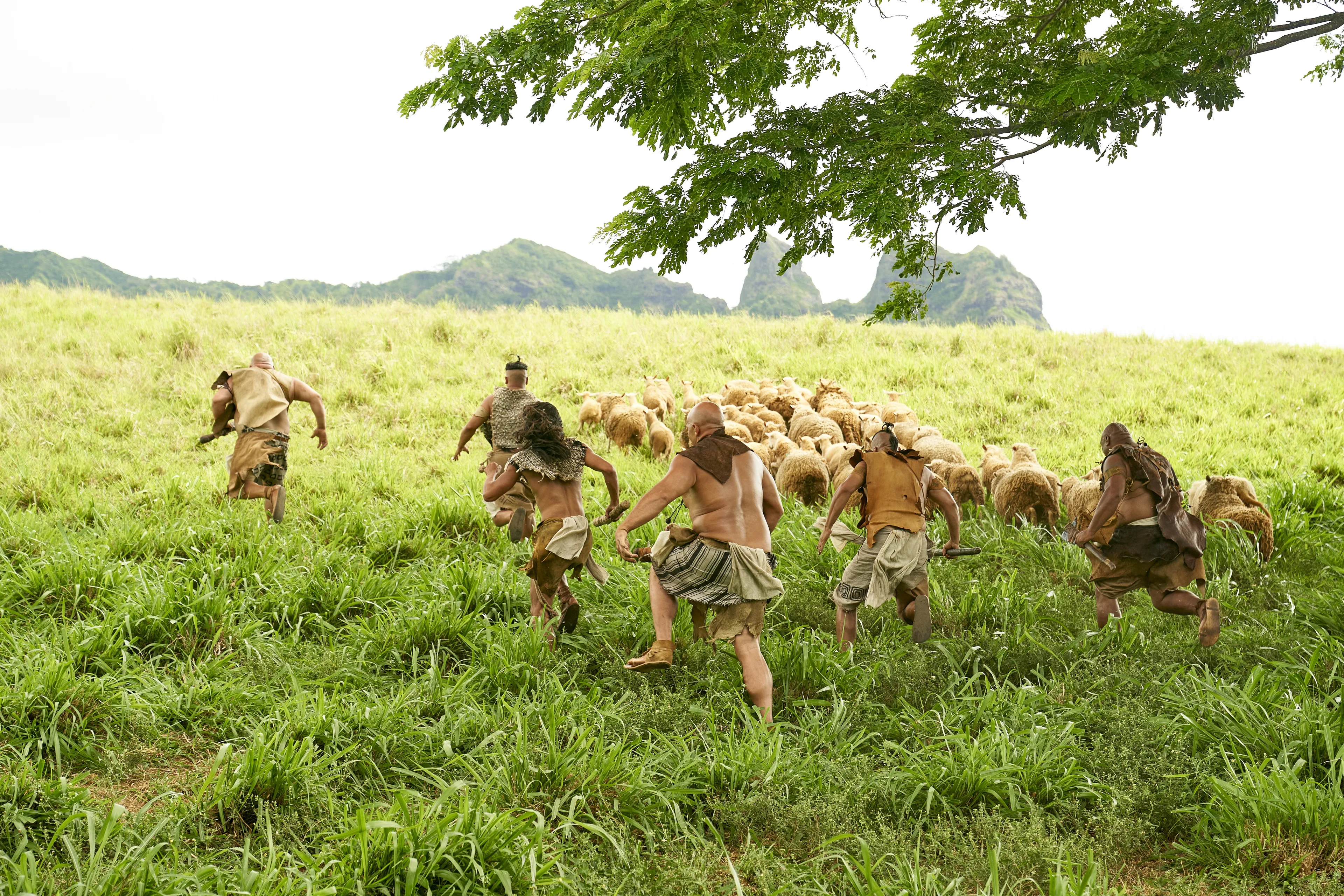 Lamanites rush forward to scatter the flocks of King Lamoni in the land of Ishmael.