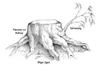 stump