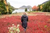 a teenage girl walks through a field of wildflowers