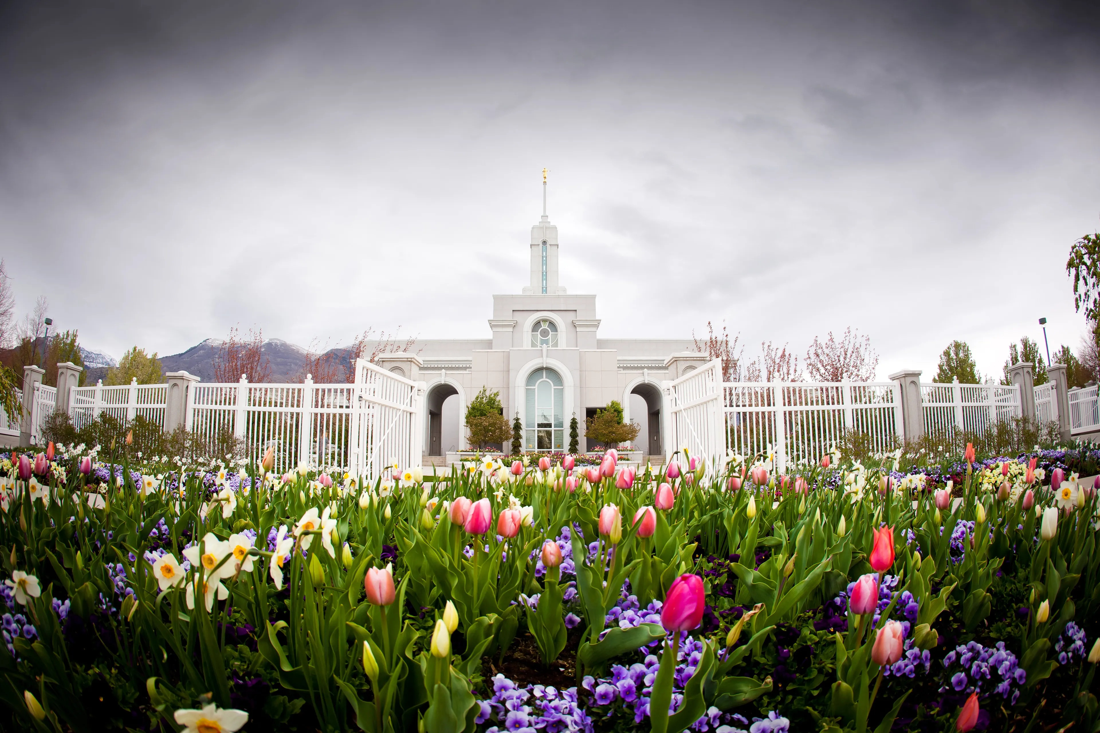 The entire Mount Timpanogos Utah Temple, including scenery.