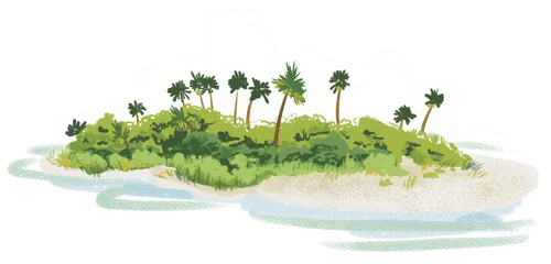 An island with palm trees
