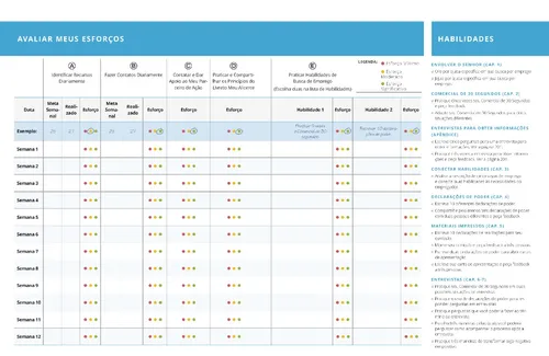 tabela avaliar meus esforços