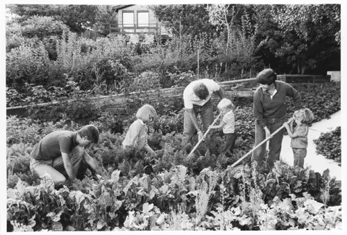 family gardening